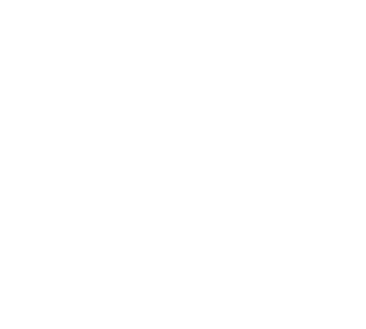 H12 Living